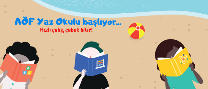 Anadolu AF 2024 yaz okulu